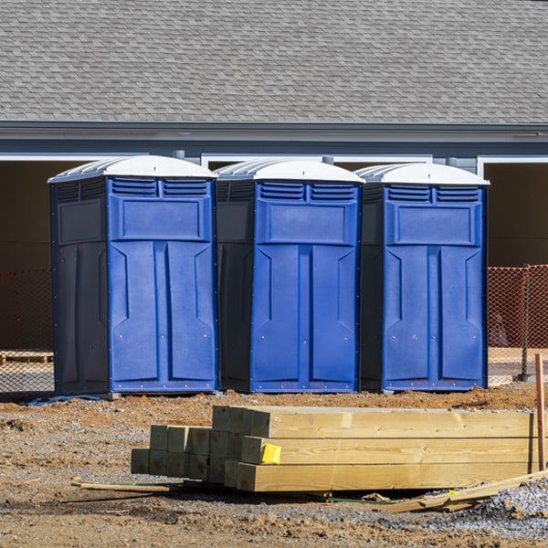 how often are the porta potties cleaned and serviced during a rental period in Damiansville IL